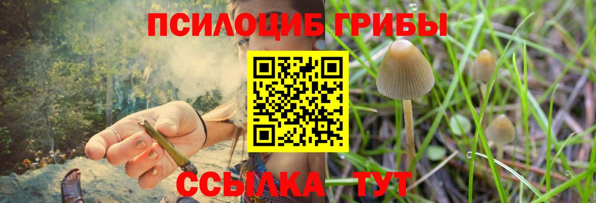 Псилоцибиновые грибы ЛСД Скопин