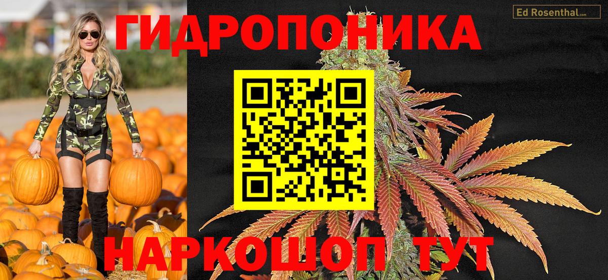 Бошки марихуана сатива Скопин